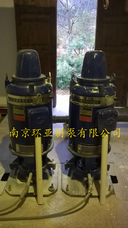 150RJC50-13*8長(zhǎng)軸深井泵交付永嘉書(shū)院使用(圖2)